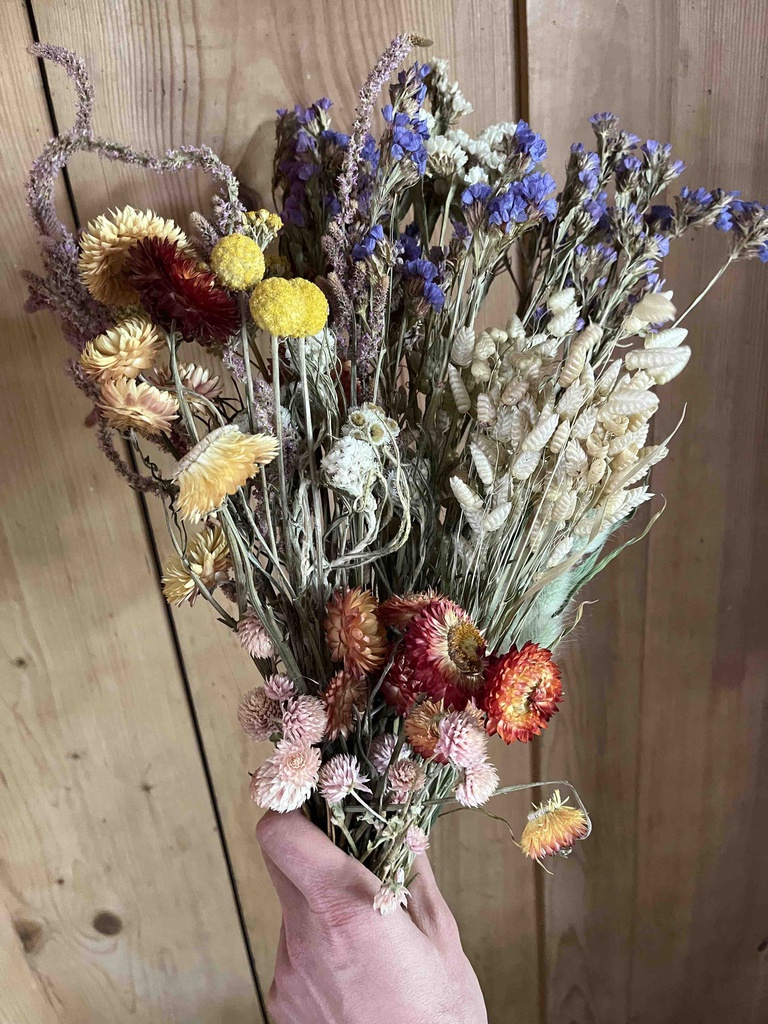Trockenblumen - Bunter Mix